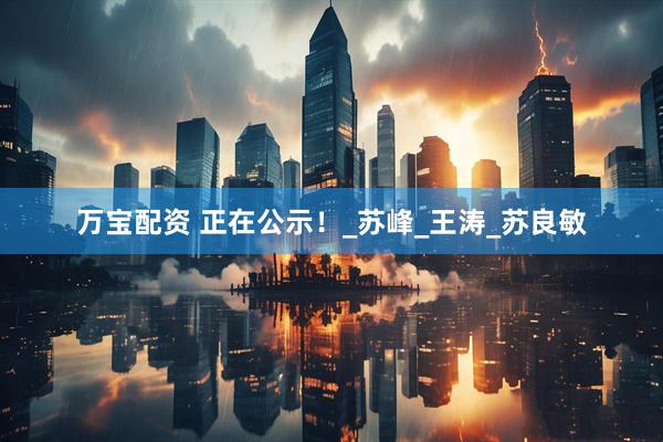 万宝配资 正在公示！_苏峰_王涛_苏良敏