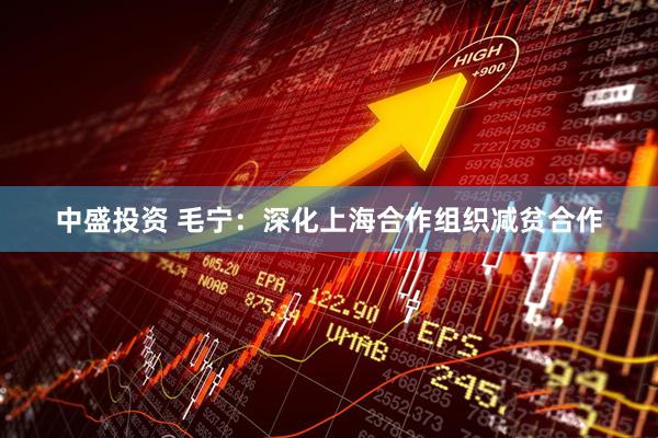 中盛投资 毛宁：深化上海合作组织减贫合作