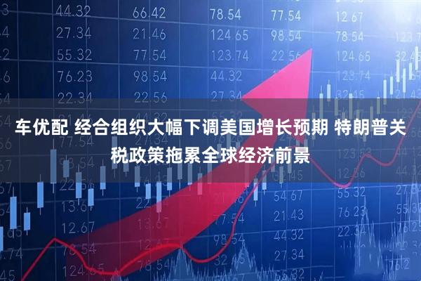 车优配 经合组织大幅下调美国增长预期 特朗普关税政策拖累全球经济前景