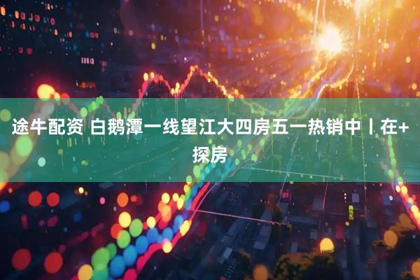 途牛配资 白鹅潭一线望江大四房五一热销中丨在+探房