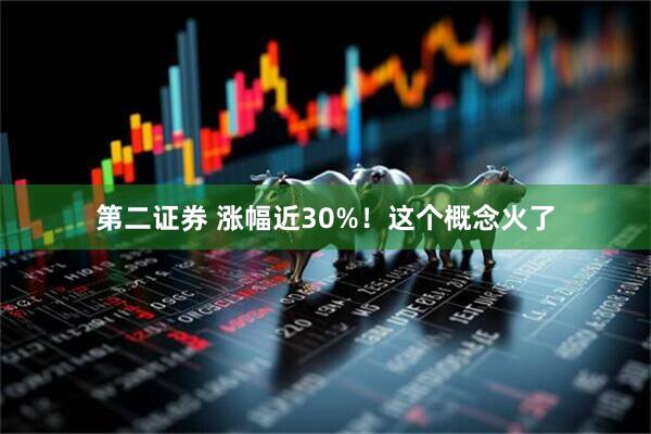 第二证券 涨幅近30%！这个概念火了