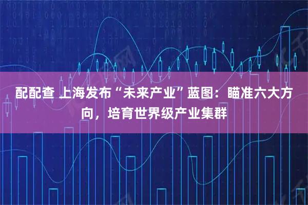 配配查 上海发布“未来产业”蓝图:瞄准六大方向,培育世界级产业集群