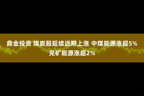 鼎金投资 煤炭股延续近期上涨 中煤能源涨超5%兖矿能源涨超2%