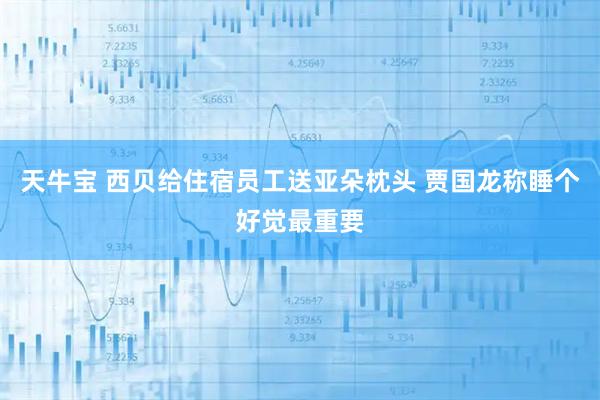 天牛宝 西贝给住宿员工送亚朵枕头 贾国龙称睡个好觉最重要