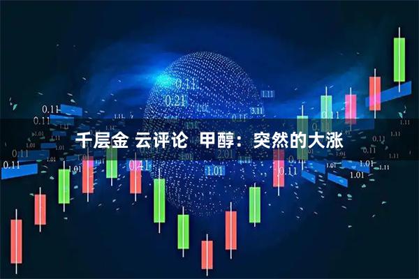 千层金 云评论  甲醇：突然的大涨